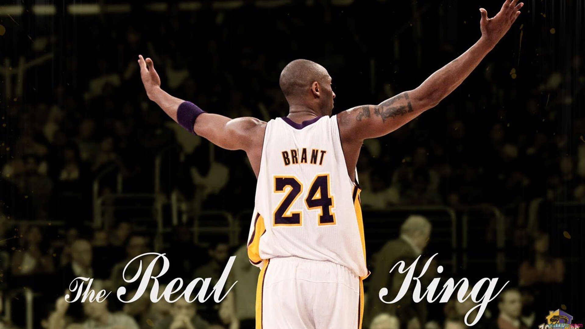 亨利海布里114球领跑英超单一球场进球榜，亨利英超第一人